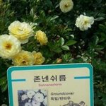 [EXO] 나 지금 엄청 소름돋는생각났어