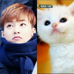 [EXO] 삼시세끼에 <b>벌</b>이랑 민석이 비교짤ㅋㅋㅋㅋㅋㅋ