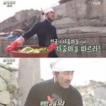 [삼시세끼] 삼시세끼 어촌편 너무 재밌지 않나요ㅋㅋㅋㅋㅋ 차줌마...