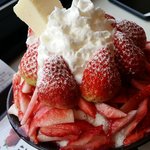 [EXO] 프리미엄딸기<b>설빙</b>?