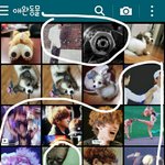 [EXO] 얘네가 왜 애완<b>동물</b>분류에 가있니