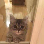 [EXO] 노래제목 아시는분??