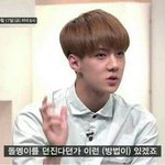 [EXO] 저 에리카 개년