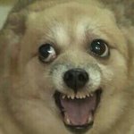 [EXO] <b>자상</b>한아빠vs친구같은아빠