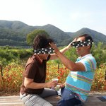 부모님 해외여행 보내드려보신 분