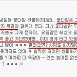 <b>일베</b>충 = 판녀충