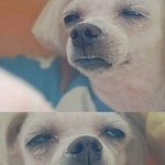 [EXO] 시발 수학학원인데 <b>의자</b> 뿌심