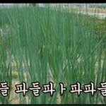 [EXO] 내가 슴<b>직원</b>이라면