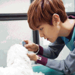 [백현] <b>살수</b>대첩 흰둥이ㅠ