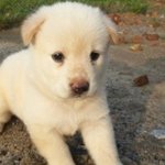 [EXO] 내일 저녁<b>반찬</b> 어때?