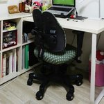 [EXO] <b>의자</b>이쁘지?택배옴