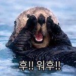개취인데 남자이런말투 행동 개설램