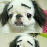 [EXO] 티켓 ㅅㅂ어따 <b>전화</b>하면돼?