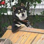 [EXO] 나핸드폰 <b>LG</b> G3-A 샀는데