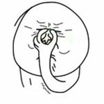 [EXO] 피부안좋았다가좋아진애