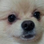 [EXO] 내꿈속의 주말아침은ㄹㅇ