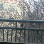 (<b>사진o</b>)누가계속 저를쳐다봐요....도와주세요