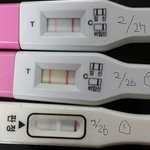 임테기 결과 믿어도 될까요..쌍각자궁일땐 얼마나 조심해야하나요