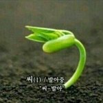 [EXO] ㅅㅂ 제발 <b>굽</b>있는거신지마라