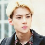[EXO] 얘들아 나 거파하게 생김 ㅅㅂ