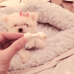 [EXO] 구<b>사옥</b>에 뭐있어?