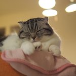 [유봉이네] 안 좋은 예감은 왜 틀린 적이 없을까?(유봉이네)