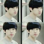 [EXO] 콘 질문 콘많이가본애들좀 드루와봐