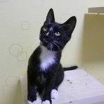 [초희] 예쁘지 않은 <b>털옷</b> 때문일까요..