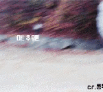 [EXO] 콜<b>미대</b>디 걍 구씹아님?