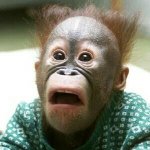 [EXO] 콜<b>미대</b>디?..