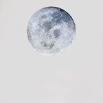 [EXO] <b>이사진</b> 어디서나온거임?