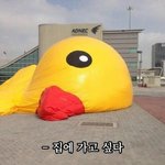 [댓글부탁해] 고등학교첫등교후기!!