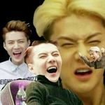 [EXO] 나 반톡 싫어서