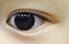 [EXO] 이거 애들<b>눈</b>중에서 누구<b>눈</b>인지맞춰봐