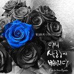 내일 <b>핑크토끼</b> 신곡 공개