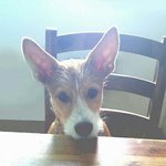 [제발댓글좀] 우리아이를 데리고가서 내다버렸다는 사람을 찾아요