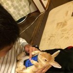 한달간  남자가 된다면?