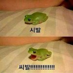 [EXO] 솔직히입덕하고첫콘인데너무<b>욕심</b>부리면안되겟지?