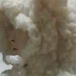 [EXO] <b>양털</b>모자쓴 민석이!!!!