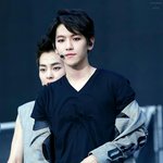 [EXO] 나작년에수학여행교관