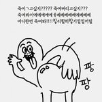 내일 <b>증사</b> 찍는데 앞머리가