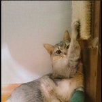 <b>김철수</b>씨를  눈 빠지게 기다리다가...