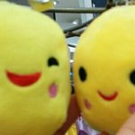 송만세 <b>송민</b>국 실물영접