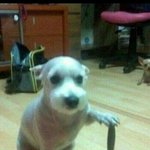 [EXO] 혹시 막콘 40구역인사람 있음??