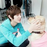 [EXO] 누가 이 개새끼에 내얼굴합성좀