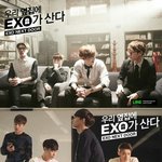 [EXO] 아콘서트진짜<b>개꿀</b>잼이겠다ㅋㅋㅋㅋㅋㅋㅋㅋㅋ