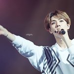 [EXO] 짤털이