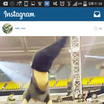 [EXO] 엘도라도스포들으니까