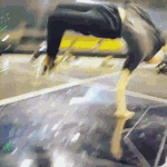 [EXO] 세훈이 저 덤블링 개신기함..