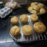 [자취요리] 20대 유학생 흔녀 먹고살기